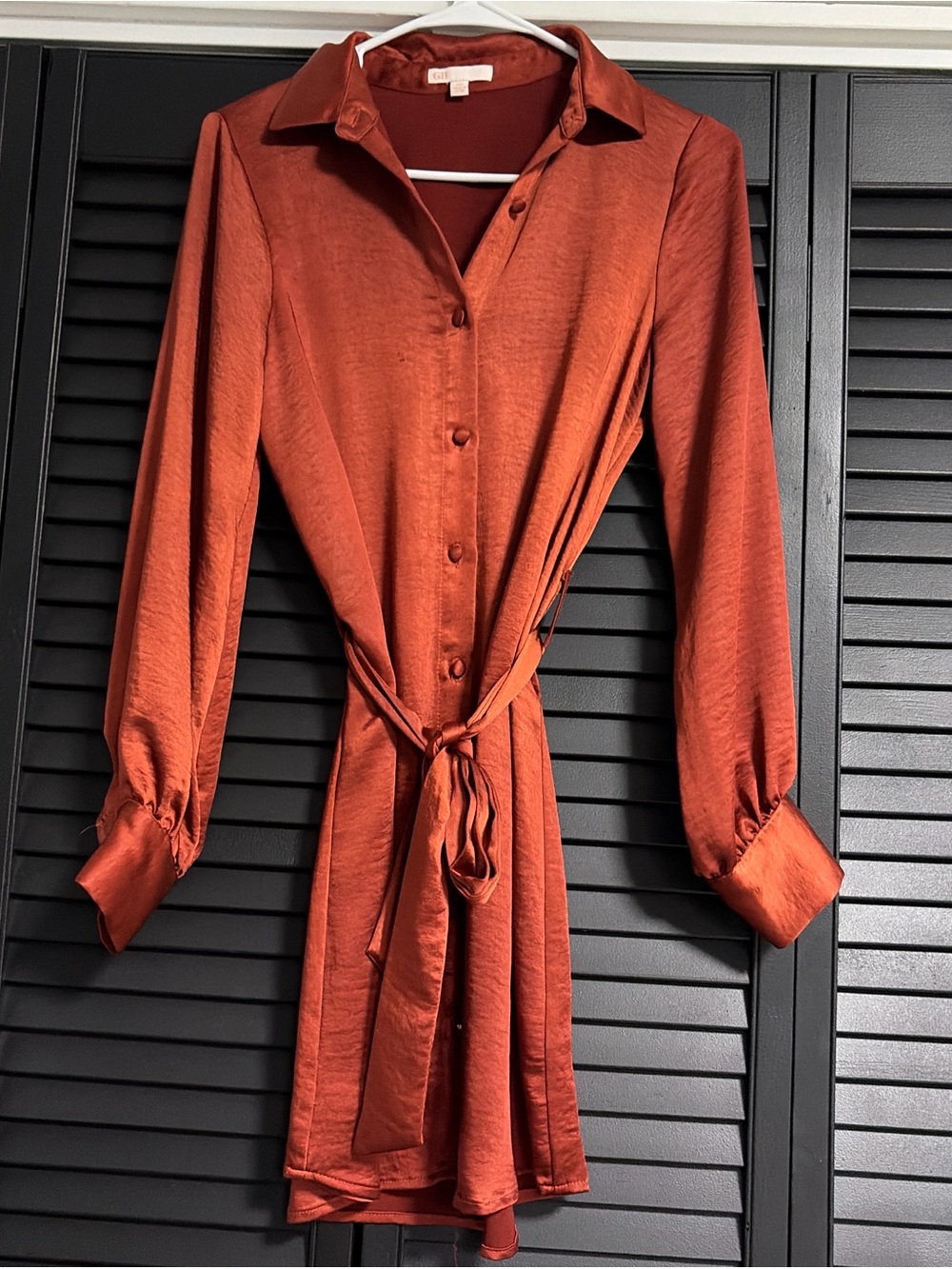 Long-Sleeve Rust Button-Front Dress with Tie Waist